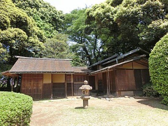 国立科学博物館